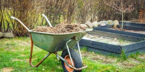 Gnojiva za trešnje u jesen: pravila hranjenja za dobru žetvu